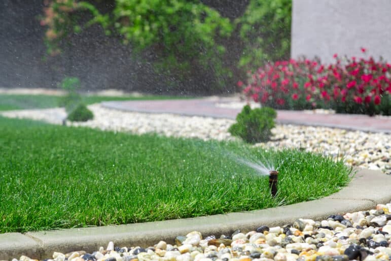 pressure regulated Sprinkler head spraying water in grass yard