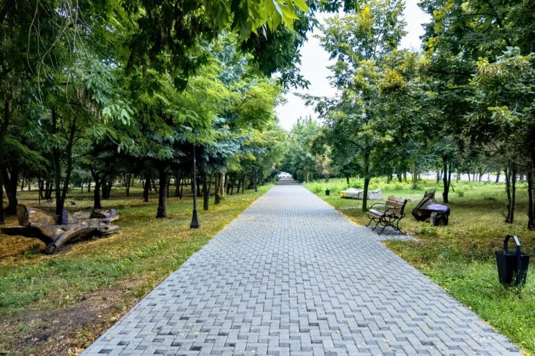 Structural Soil: Solutions for Trees in Paved Urban Spaces