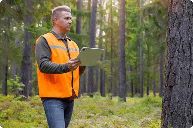 Tree Survey and Inventory