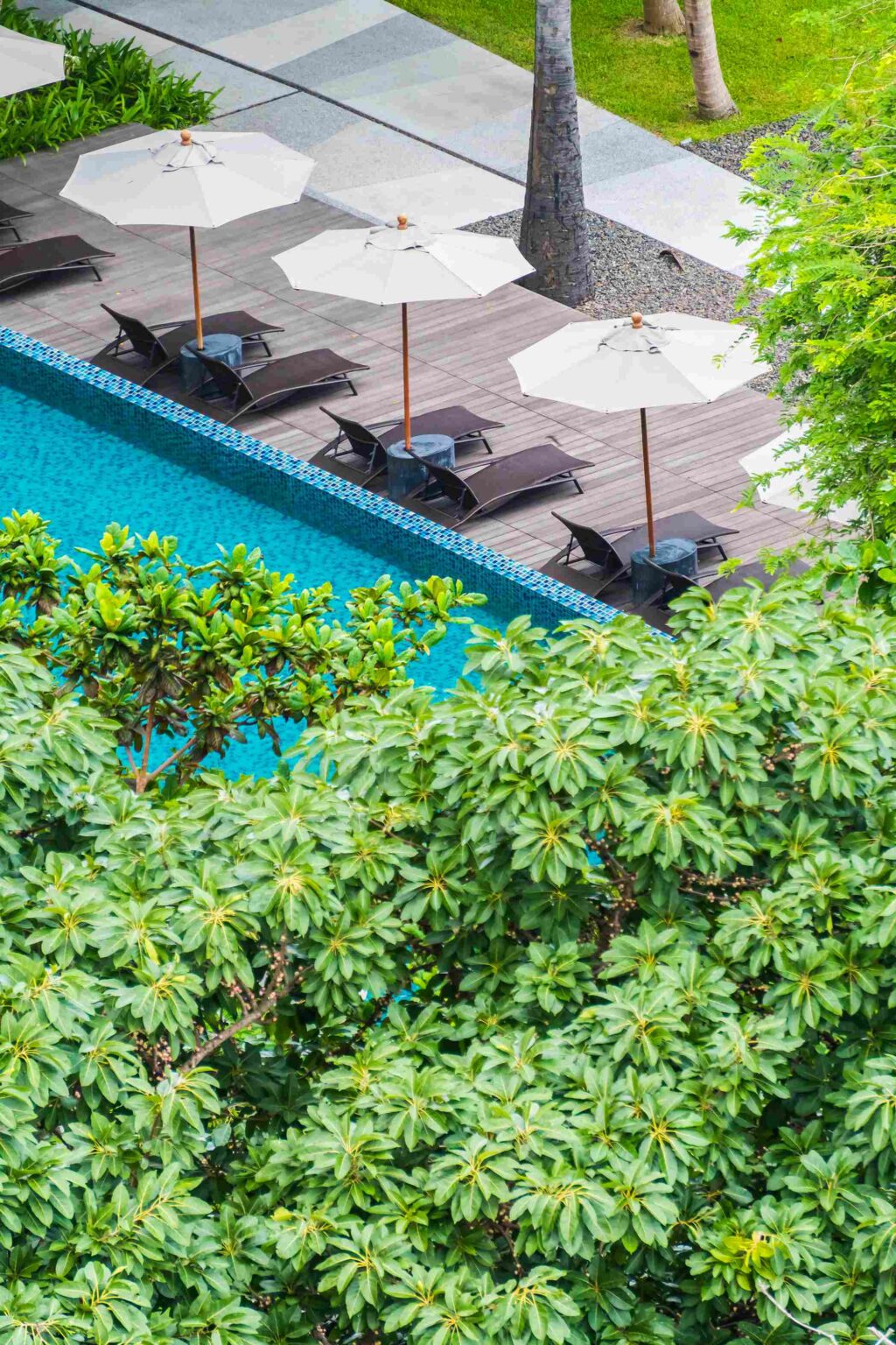 Landscape Architects Palm Beach